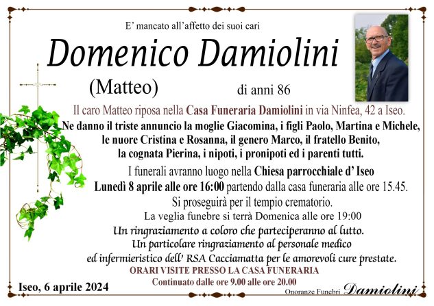 Sig. Domenico Matteo Damiolini