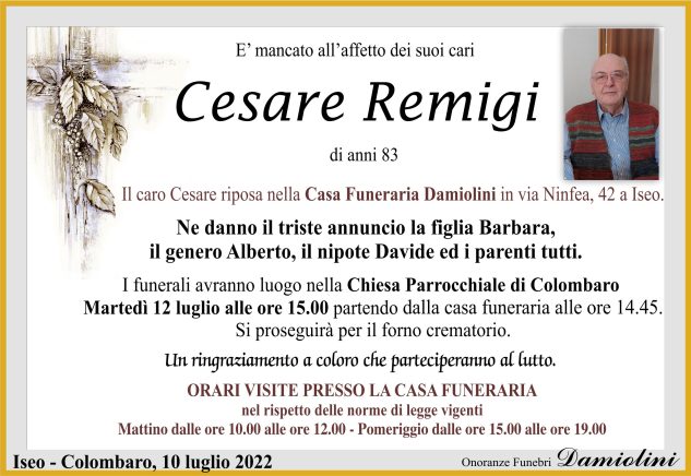 Sig. Cesare Remigi